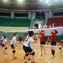 나인스타 이미지