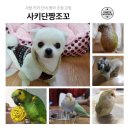 (주)시몬팜 | [시몬님이벤트후기] 펠렛셋트 당첨!! 후기~