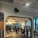 제라드&맥스짐 | 관평동헬스장 제라드앤맥스짐에 다니고 있는 후기예요