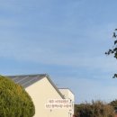 성산 동백소랑 이미지