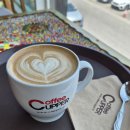 강릉 송정해수욕장 트레킹 (25.5.27) 이미지