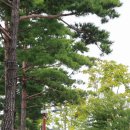 말나눔터 공원 이미지