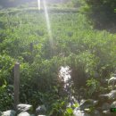 밤실마을 이미지