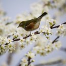 부산행정사무소 이미지