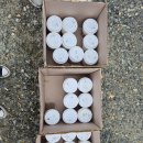 4월 첫째주 성윤이네, 진우네, 만익이네, 찬희네, 시원이네, 동규네 찬조 진심으로 감사 드립니다 이미지