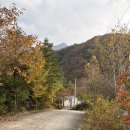 (주)플레이솔루션 | Slow Parenting. 예민한 아이에게 캠핑이 좋은 이유, 가평 캠핑플레이에서 느낀 것