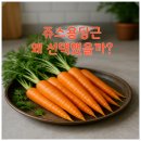 쥬스용 당근으로 건강 챙기기 40대 주부 3개월 솔직 후기