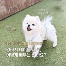 나드리독 이미지