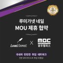 루미가넷웰리스바 이미지