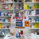 청계약국 이미지