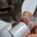 더마톡 | [내돈내산] 대웅제약 더마톡스샷 3700/복합성피부 사용후기