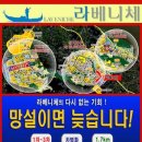 라베니체 5차 이미지