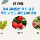 성은식품