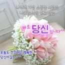 행운 Daum카페