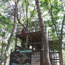 천곡초등학교 이미지