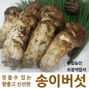 보광약업사 이미지