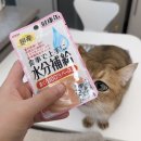 “고양이 물 안 마실 때 아이시아 최고의 선택! 아이시아 건강캔파우치 수분보충 솔직 후기”