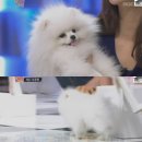 강부자 농장 이미지