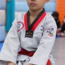 한국체대 한성태권도 이미지