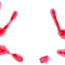 다섯손가락 이미지