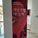 저녁노을미술관 | 신안 노을미술관 '사유의 빛 아! 동백' 전시 후기