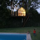 나무와나무 이미지