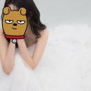 아무르먼트