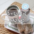 유림다방 네이버블로그