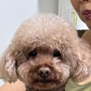 마스키랩 | 억지 행운 회로 풀가동 중인 일상🍀
