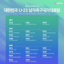 아로모터스 이미지