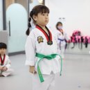 우리아이태권도장 이미지