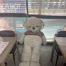 이마트 진주점 | [진주안경점 추천 사람과안경 이마트옆점] 사람과안경에서 안경 맞춤 후기