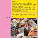 디스베리데이 이미지