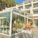 비고리조트 11 이미지