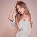 더블유케이(WK) 이미지