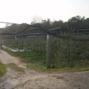 인복농장 이미지