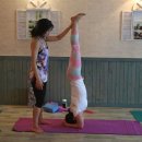 요가라테스 이미지