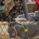 다정목장 이미지