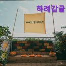 미정농장 | [제주도 여행지 추천] 하례감귤체험농장 하례감귤체험농장, 가족과 함께 즐기기 좋은 곳