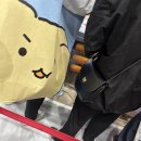 위드코리아 | 코엑스 푸드위크 코리아 2025 사전등록 티켓 입장 후기