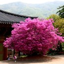 남도뜨락 이미지