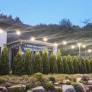 라비드 포레 이미지