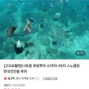 나트랑 레츠비 호핑투어 내돈내산 솔직후기 🐠 혼뭇·혼문섬·소이비치 코스 정리