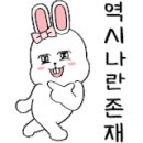 올포카 이미지