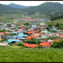 청산도봄 이미지