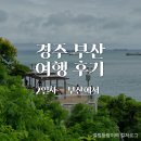 경주 부산 여행 2일차 | 국제시장, 깡통시장, 흰여울문화마을, 이재모피자, 톤쇼우