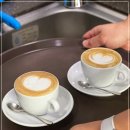 커피바리스타A 이미지