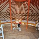 그 꼴로 산책가개? | 8박9일 여름 몽골여행 4일차 후기 / 모래 뒤집어쓰고 잠, 존맛 호쇼르, 바양작, 바양작 낙타들, 귀요미...