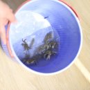 소근진성펜션 이미지