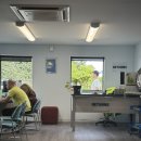 아펙스 | [뉴질랜드 남섬] 아펙스 apex 렌트카 후기 | 운전방법 | 퀸스타운에서 와나카 이동